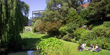 Our University